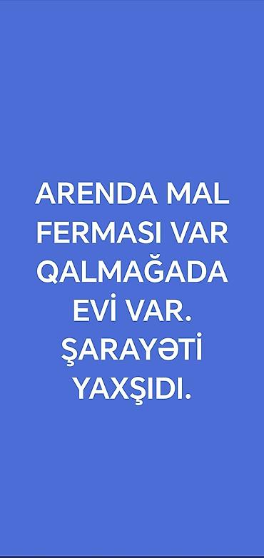 zamin emlak: Arendaya heyvandarlıq (mal) ferması təklif olunur. Fermada qalmaq üçün — 1