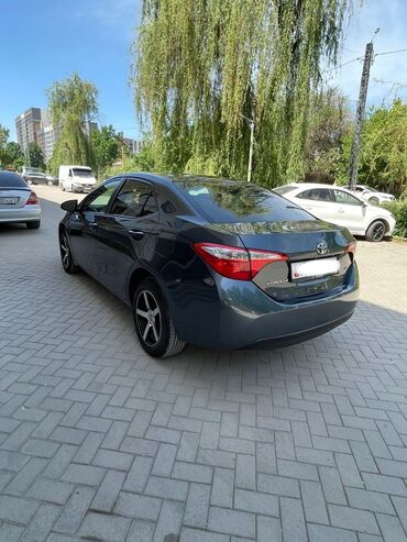 Toyota: Toyota Corolla: 2016 г., 1.8 л, Автомат, Бензин, Седан — 6