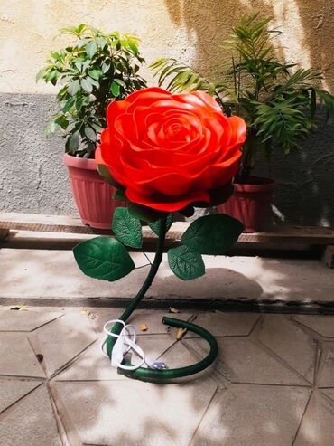 Другие услуги: Другие услуги — 15