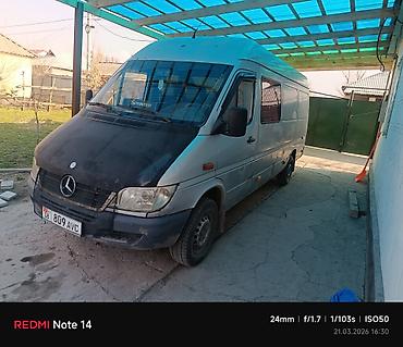 Mercedes-Benz: Mercedes-Benz Спринтер: 2004 г., Фургон — 4