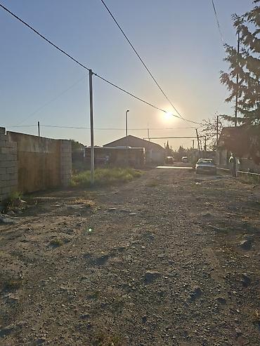 bakida: 3 sot, Tikinti, Kupça (Çıxarış) — 5