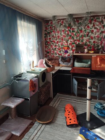 питомник кошек: Гостиница для кошечек и маленьких собачек до 5 кг Предлагаем