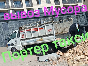 черепашьи яйца купить: Вывоз мусора вывоз мусора вывоз Вывоз Мусора вывоз Мусора вывоз