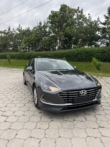 сонату: Hyundai Sonata: 2020 г., 2 л, Автомат, Газ, Седан