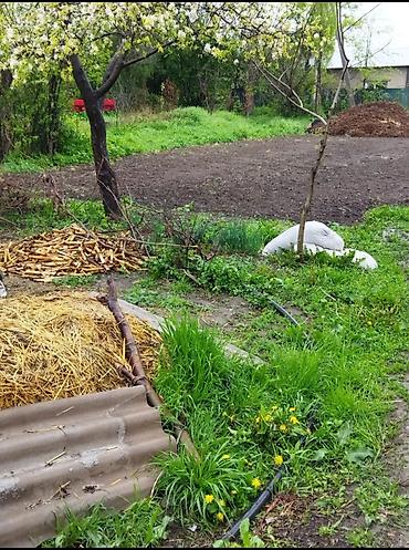 Продажа коттеджей и домов: Продаю дом . Кара-балта село алексеевка ул.Центральная 150 школа — 9