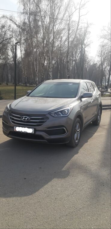 Hyundai: Hyundai Santa Fe: 2016 г., 2.4 л, Автомат, Бензин, Кроссовер