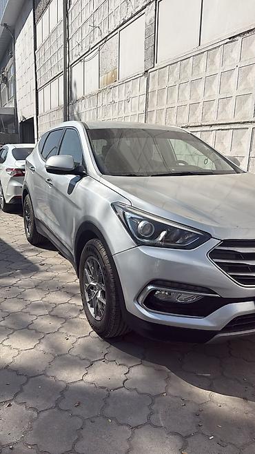 space runner: Hyundai Santa Fe: 2017 г., 0.2 л, Автомат, Бензин, Кроссовер — 3