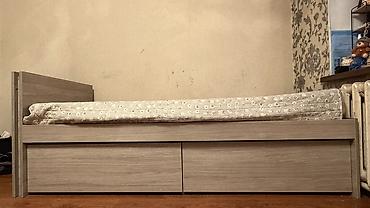 кофейное дерево купить: 🛏️ Продаю кровать вместе с матрасом! Причина продажи переезд — 3