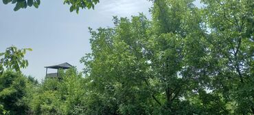 Torpaq sahələrinin satışı: 12 sot, Mülkiyyətçi, Kupça (Çıxarış) — 11