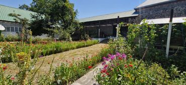 Torpaq sahələrinin satışı: 12 sot, Tikinti, Makler, Kupça (Çıxarış) — 13