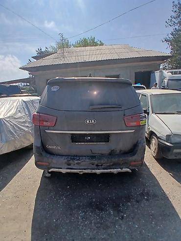 Kia: Kia Carnival: 2019 г., Минивэн — 1