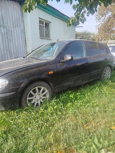 водный банан: Nissan Almera Tino: 2002 г., 2.2 л, Хэтчбэк — 3