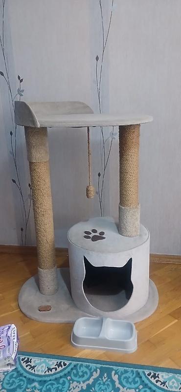 shotland pişik: Pişik üçün çoxfunksiyalı oyun və istirahət kompleksi - Material — 3