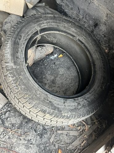 диск 17 тайота: Шины R 15, Зима, Б/у, 1 шт, Легковые, Toyo