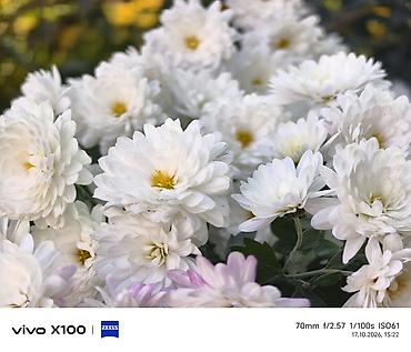 Техника и электроника: Смартфон vivo X100 (белый) - Камеры с оптикой ZEISS и покрытием T* — 6