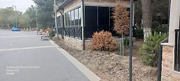 great vall: Terras üçün mükəmməl məkan – geniş açıq balkon/terrasa çıxışlı sahə — 1