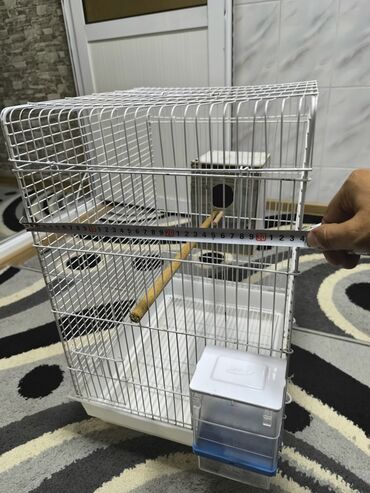 Kasalar: Quşlar üçün ağ rəngli metal qəfəs. Qəfəsin altında sürüşən zibil