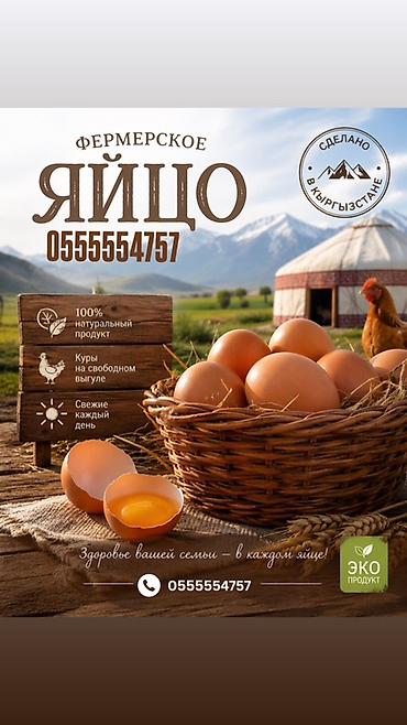 куры несушки: Фермерские куриные яйца Оптом и в розницу - Натуральный продукт, без — 2