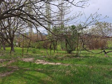 Torpaq sahələrinin satışı: 24 sot, Kənd təsərrüfatı -da lalafo.az — 8 Torpaq sahələrinin satışı: 24 sot, Kənd təsərrüfatı — 8