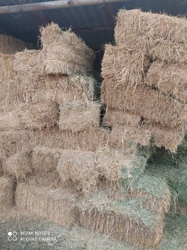 Корма для с/х животных: Сено в тюках - Прессованные прямоугольные тюки, перевязанные — 6