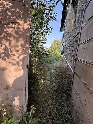 hövsan satılıq evlər: 30 sot, Tikinti, Mülkiyyətçi, Kupça (Çıxarış) — 5
