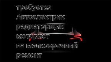 работа без авто: Вакансия: автоэлектрик, радиаторщик, моторист оплата при встрече — 1