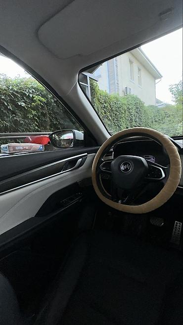 mini ev: Weltmeister EX5, 2021 г., 56000 км, Передний — 7