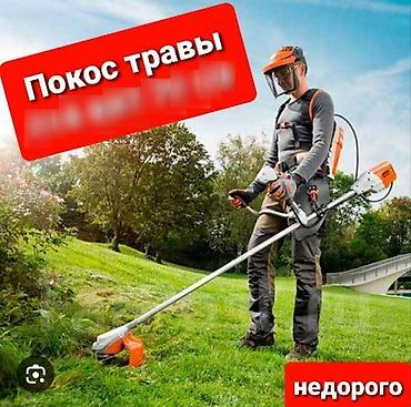детский спорт: Уборка территории, Стрижка газона — 1