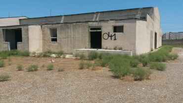 Torpaq sahələrinin satışı: 200 sot, Tikinti, Makler, Kupça (Çıxarış) -da lalafo.az — 5 Torpaq sahələrinin satışı: 200 sot, Tikinti, Makler, Kupça (Çıxarış) — 5