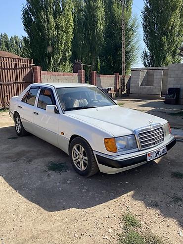 выхлоп на w210: Mercedes-Benz W124: 1992 г., 2.5 л, Механика, Дизель, Седан — 9