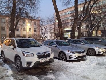 Частная аренда авто: Прокат авто аренда авто трансфер авто без водителя аренда авто — 7