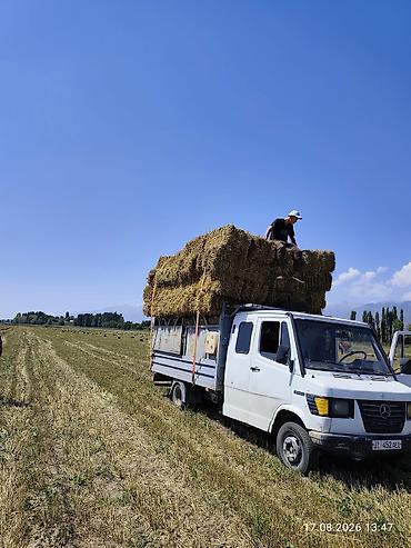 205 65 15р: Грузовик, Mercedes-Benz, Дубль, Б/у — 1