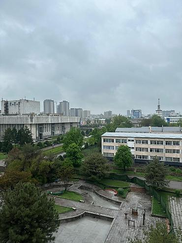 Продажа офисов: Продажа офисов 56 м², Бизнес центр, 6 этаж — 5