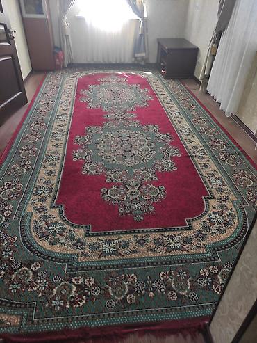 фикус керли: Ковер Б/у, 500 * 250, Германия — 1