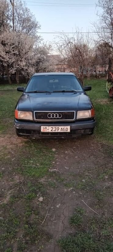 Audi: Audi 100: 1992 г., Седан