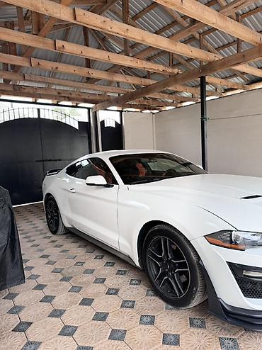 для круп: Ford Mustang: 2018 г., 2.3 л, Купе — 3