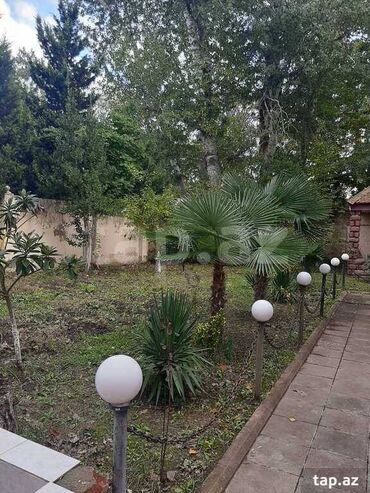 Bağ evlərinin satışı: Nabran, 200 kv. m, 6 otaqlı, Hovuzlu, Artezian quyusu, Kombi, Kanalizasiya -da lalafo.az — 13 Bağ evlərinin satışı: Nabran, 200 kv. m, 6 otaqlı, Hovuzlu, Artezian quyusu, Kombi, Kanalizasiya — 13