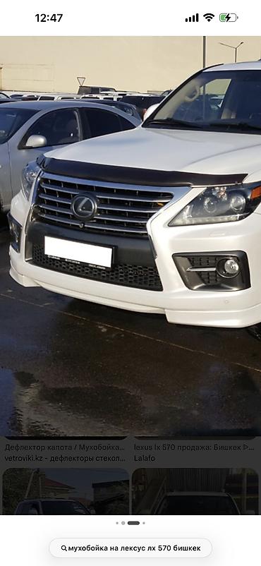 витровики: Мухобойка (дефлектор капота) для Lexus LX 570 - Назначение: защита — 2