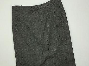 szara plisowane spodnice: Spódnica damska, rozmiar 2XL — 1