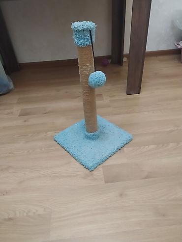 ev pisikleri: Məhsul: Pişik üçün dırmaşma və cızma dirəyi - Material: Təbii sizal — 1