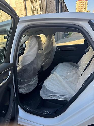 BYD: BYD Qin Plus: 1.5 l | Sedan — 14