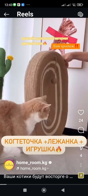 Зоотовары: ?агазин ZOOВИЛЛЬ! Корма,лакомства для животных ! Животные,попугаи! Мир