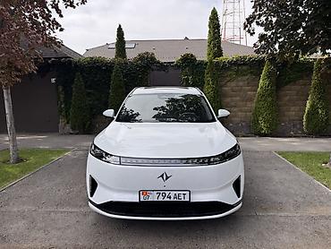 Dongfeng: Dongfeng : 2024 г. — 3