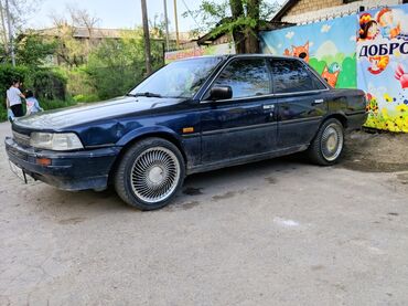 люк на камри: Toyota Camry: 1989 г., 2 л, Механика, Бензин, Седан