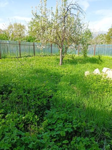 Torpaq sahələrinin satışı: 4 sot, Tikinti, Maklerlər narahat etməsin, Kupça (Çıxarış) -da lalafo.az — 20 Torpaq sahələrinin satışı: 4 sot, Tikinti, Maklerlər narahat etməsin, Kupça (Çıxarış) — 20