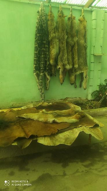 Автозапчасти: Тери ашатабыз,сатабыз чаначээрчик массажор жасайбый — 10