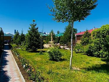 archa group: Коттедж, Париж, Чок-Тал, 6 мест — 1