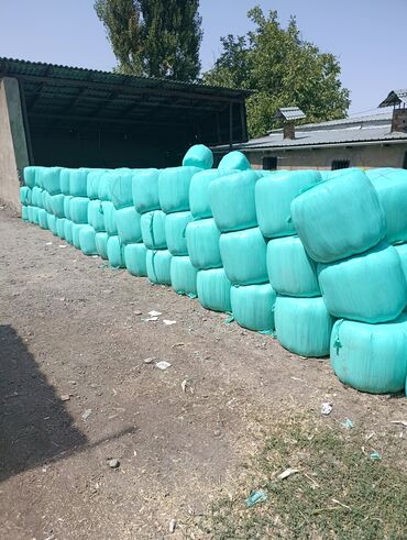 купить двигатель на мотоцикл минск бу: Плотные тюки силоса с зёрнами кукурузы,обернутые в ярко-бирюзовую
