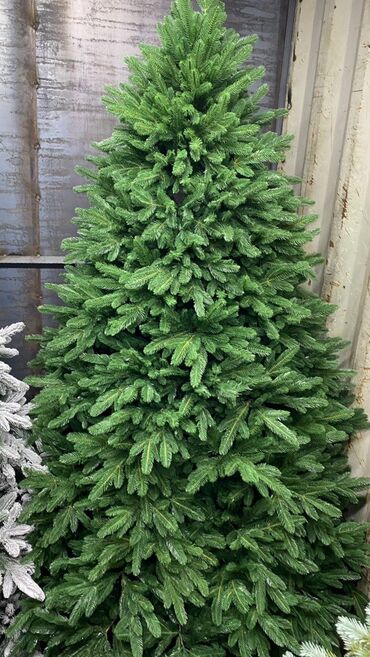 Ёлки: Елки новогодние елки литые елки пышные елки Идут продажи at lalafo.kg — 7 Ёлки: Елки новогодние елки литые елки пышные елки Идут продажи — 7