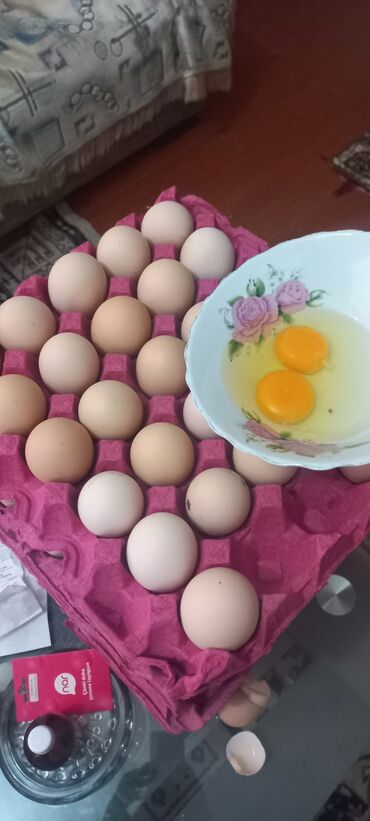 mayalı yumurtalar: Yerli yumurta satişi davam.edir buyrun sifariş vere bilersiz seher